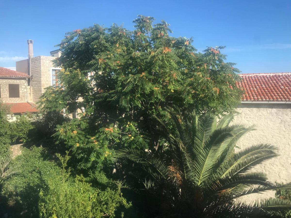 Apartments Gusar أولتْسي المظهر الخارجي الصورة